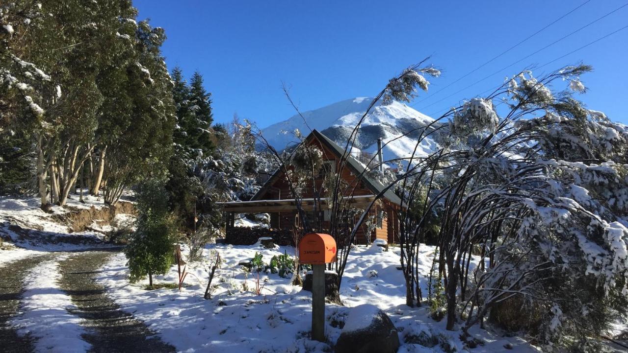 Mt Lyford Holiday Homes Dış mekan fotoğraf